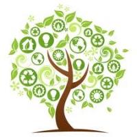 Adopting a Form for Your Socially Responsible For Profit Enterprise
