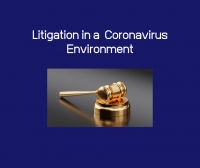 Litigation in a Coronavirus Environment