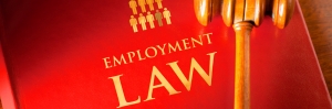 Van Buren v. United States: The Supreme Court Eliminates a Remedy for Employers