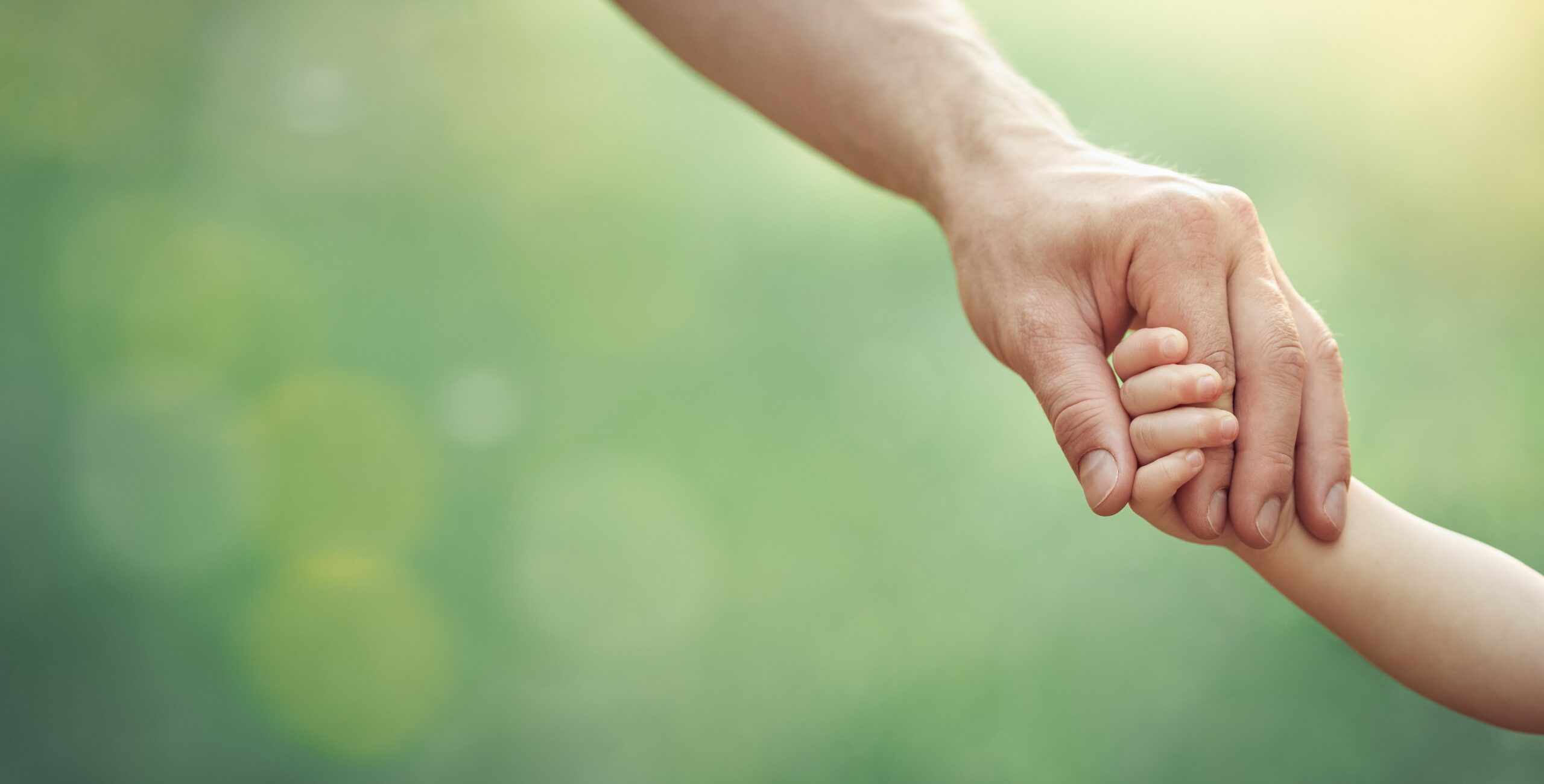Divorce & Custody